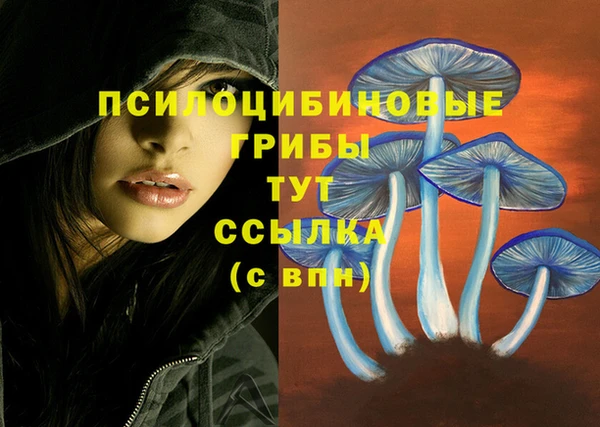 MDMA Premium VHQ Алзамай