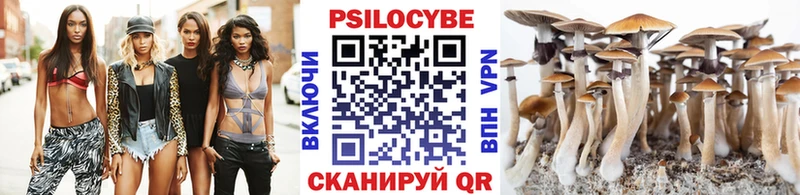 купить наркотики сайты Переславль-Залесский Галлюциногенные грибы MAGIC MUSHROOMS