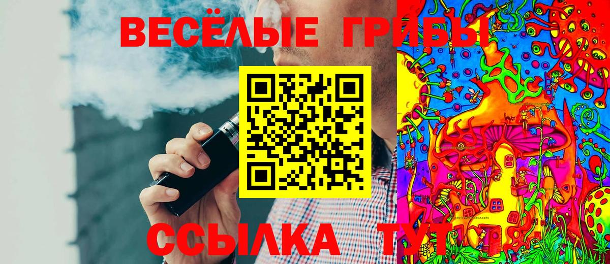 Переславль-Залесский  Галлюциногенные грибы прущие грибы  Вход с VPN 
