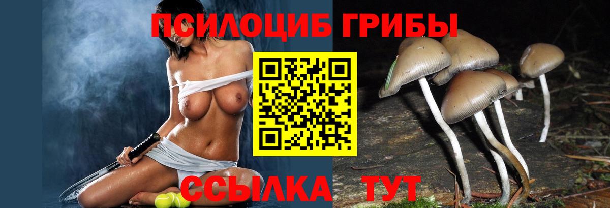 Галлюциногенные грибы ЛСД Переславль-Залесский