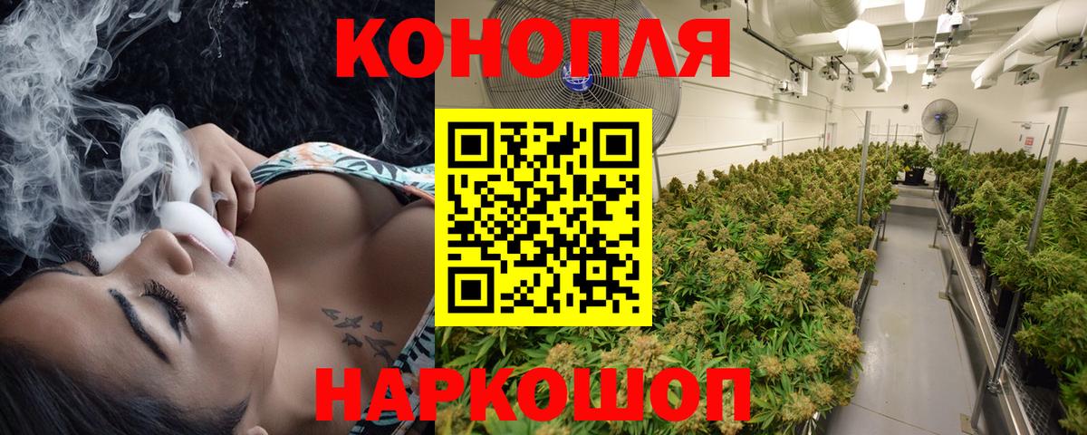Бошки Шишки сатива  Вход с VPN  Бошки марихуана SATIVA & INDICA  Бошки марихуана конопля  МАРИХУАНА SATIVA & INDICA  Переславль-Залесский 